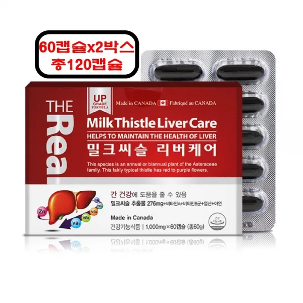 더 리얼 밀크씨슬 리버케어 간영양제 밀크시슬 추출분말 실리마린 성분 비타민A B군 엽산 아연 국화과 식물 간기능 개선제 간건강 지친일상 활력소 세포와 혈액생성 직장인 건강지킴이, 2박스, 60캡슐
