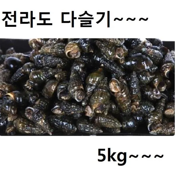 전라남도 굵고 큰 삶은생다슬기 5키로 다슬기즙 올겡이즙.소라 갯고동 다슬기알 번데기소라 Osam ☆osa 상품선택 Gc☆