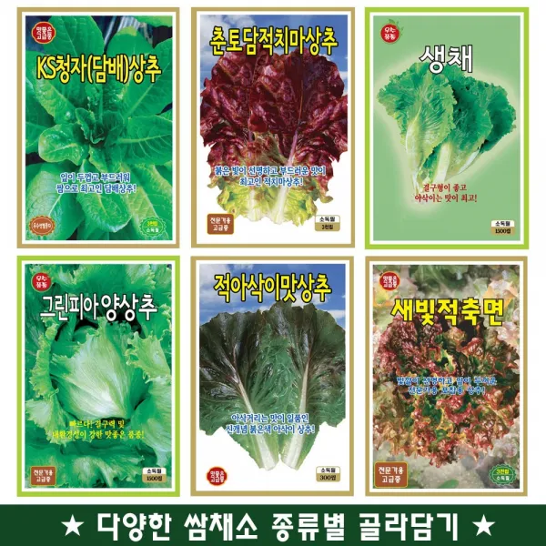 텃밭채소/쌈채소/상추/채소씨앗 모음전, KS청자담배 상추씨앗 3000립