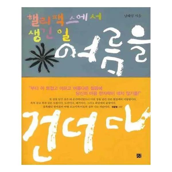 여름을 건너다