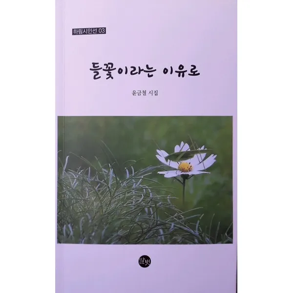 들꽃이라는 이유로, 말벗