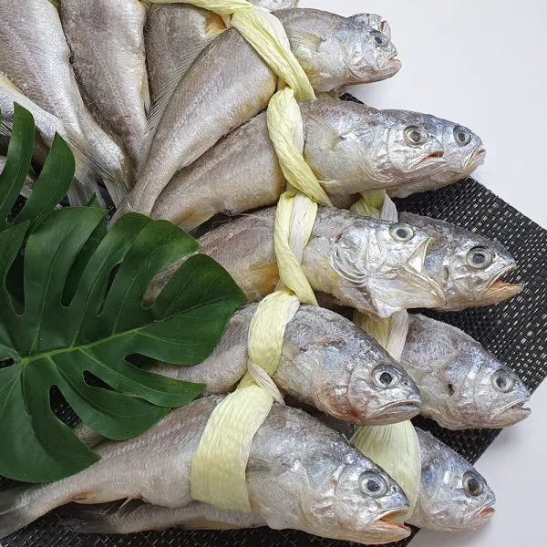 [AQH_1475575] 법성포 국내산 영광굴비 가정용 선물세트 20미 1.4kg 조기 굴비두름 선물용굴비 영광굴비선물세트 국내산굴비, 단일상품, 단일상품