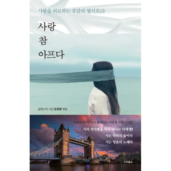 사랑 참 아프다:사랑을 위로하는 공감의 영시, 스타북스