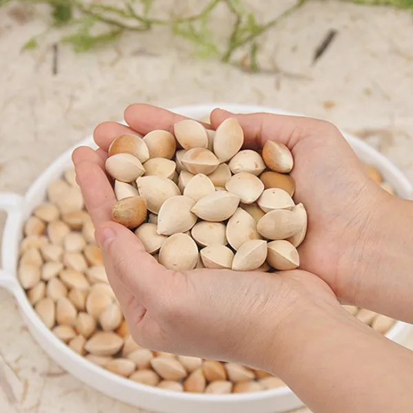 충남 부여 달하산농장 김가령님의 피은행1kg, 단품
