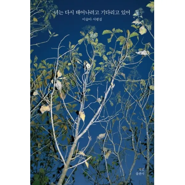 너는 다시 태어나려고 기다리고 있어:이슬아 서평집, 헤엄