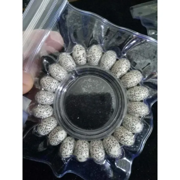 염주팔찌 자고가 높고 밀순하다 화이트 빅사이즈 초승달 보리 기어코 현 월 홑겹 씨 2341609578, A_13 *9정월이다 사과아이폰 정원