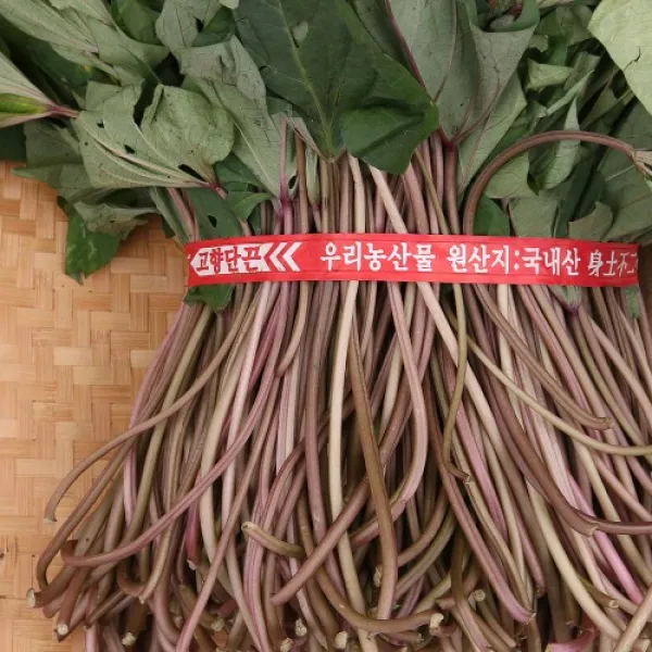 고구마대(자색) 4kg내외 팔팔마켓 고구마순 줄기 나물