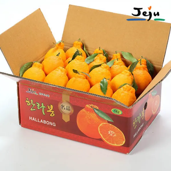 (올탑농원)제주직송 고당도 한라봉 4.5kg 대과 벌크 가정용, 1박스