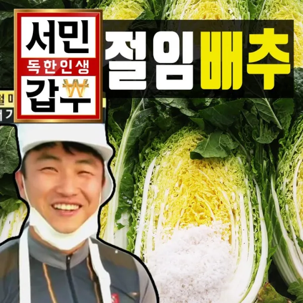  해남서민갑부절임배추 절임배추20kg 받는날짜정해주세 11월10일~12월 20kg 서민갑부 절임배추 11월10일~1월예약 주문시 받는날짜적어주세요 잘안되시면 전화주세요