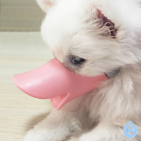 강아지 입매 방지 짖어대어 먹어봐 짖어대기 타이디 용품 중소형 유견 애완동물 오리너구리 입, 핑크, L번건의 3개월 금모 허스키 없음 같