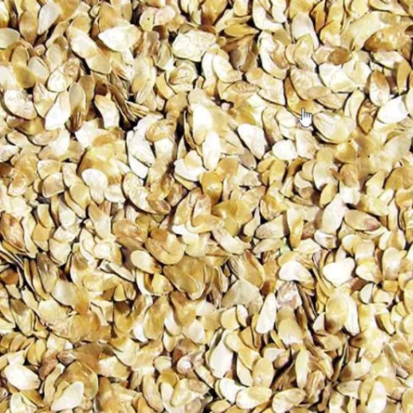 산애들농장(주) 더덕씨앗 100g 500g 1kg 국내산 무농약, 국내산 더덕씨앗 100g