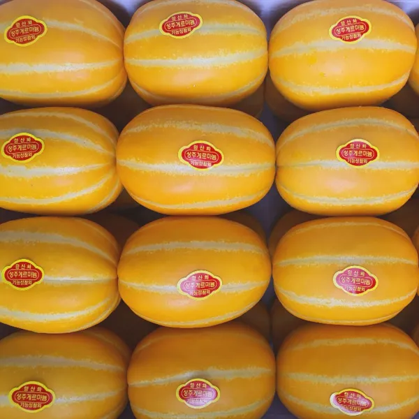경북 성주 꿀참외 정품vip 로얄대과 10kg 실중량 참외 1박스