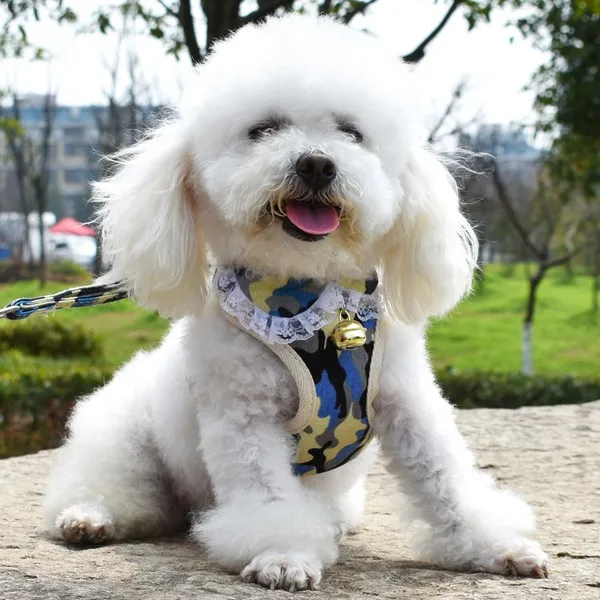 강아지용품 강아지 애견목줄 조끼스타일 소형견 포메라니안 리드줄 푸들 애완동물 개줄 여름 용품 T11 공형 카모 방울 1.2베이지 편승 C04 L10 14