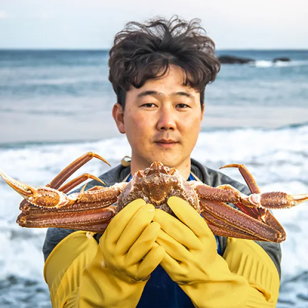 [선주직송] 프리미엄 대게 포항 구룡포 연지홍게 홍게, 1번만 결제/별도구매불가, 자숙/찜비