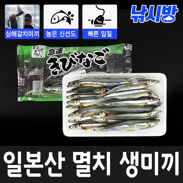 낚시방 히로큐 키비나고(멸치) 생미끼/꽁치보다 빠른 입질/심해 선상갈치 미끼/텐야 생미끼/많은 수량