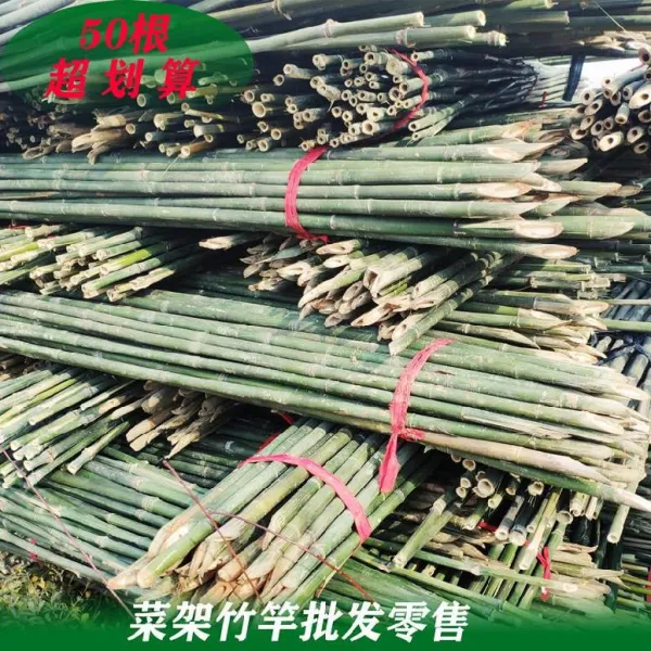빈슨글로벌 소품트레이 콩꼬투리 장대 울타리 포도대 서 레드 로드거치대 매치 자 고죽 봉 요리틀 1메터, 1-1.5 센치 굵은 좌우 50 센치