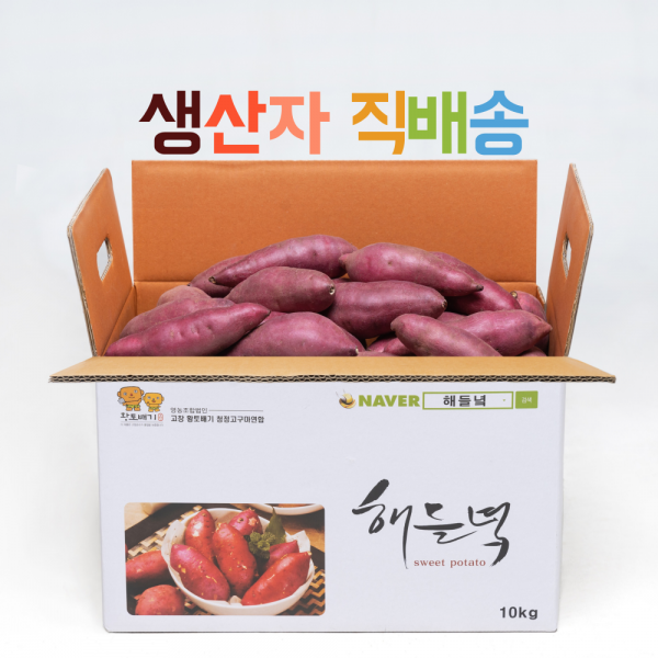 생산자직배송/ 해들녘 고창황토고구마 5kg 10kg x (왕/ 특상/ 중/ 한입) 사이즈, 해들녘고구마 10kg (중) x 1박스