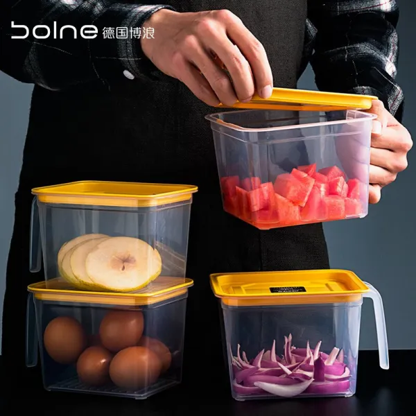 독일 보 랑 (bolne) 부엌 수납 함 과일 채소 신선 함 식품 급 플라스틱 직사각형 음식 냉동식품 밀봉 스 몰 * 2 + 라 지 * 2