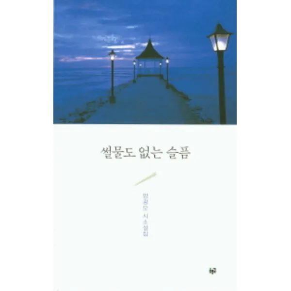 썰물도 없는 슬픔 -양광모 시소설집