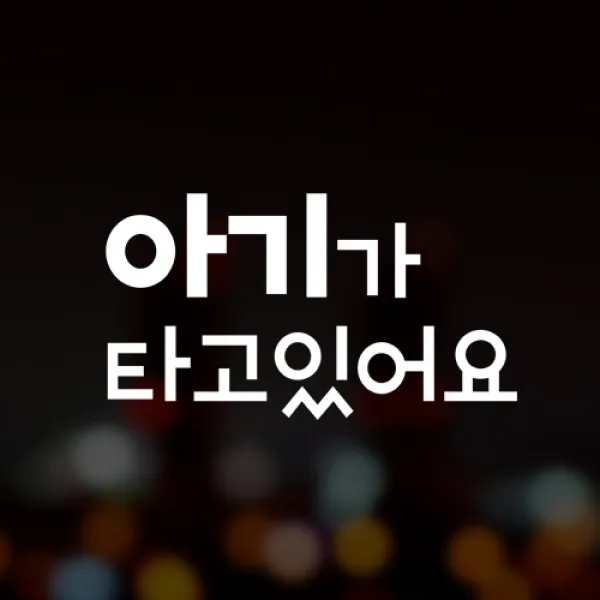 윈스턴 초보운전 아이가타고있어요 아이먼저 극한초보 차량스티커 40종 1개 14.토이 아기 블랙