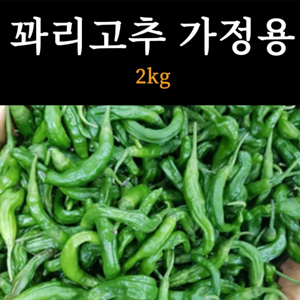 국내산 햇 꽈리고추 고추 못난이 가정용 특품 1kg, 1box, 꽈리고추 가정용 2kg