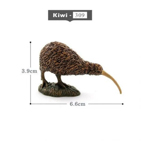 [해외] 사슴 Warthog 살쾡이, Kiwi