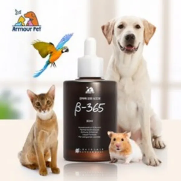 아프지마 반려동물 면역력강화제 미국FDA GRAS승인 ISO9001 항암 면역력강화 피부질환 구강면역 골다공증예방 당뇨예방특허 반려견 반려묘 영양제 아머펫 베타 365