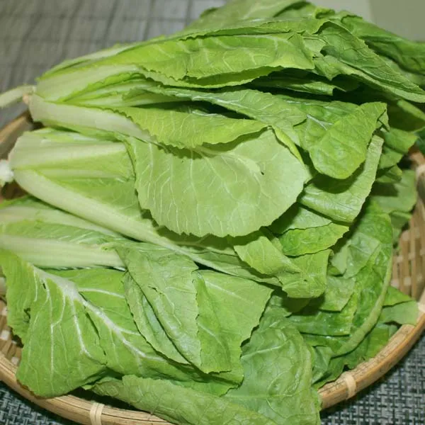 얼갈이배추4kg 1박스/2박스 묶음 자연대로팜웨이, 얼갈이4kg 1박스