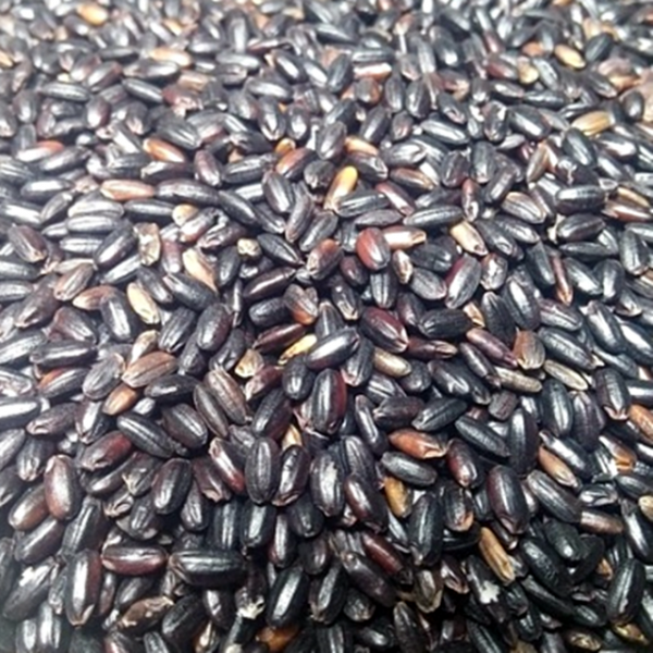 한땀 2020년산 국산 흑미 찰검정쌀 1kg 2kg 4kg 친환경농법, 찰검정쌀4kg