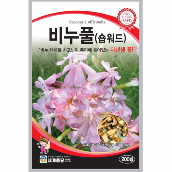 꽃 씨앗 비누풀 (숍워드) 비누 대체로 사포닌이 뿌리에 들어있는 다년생 꽃