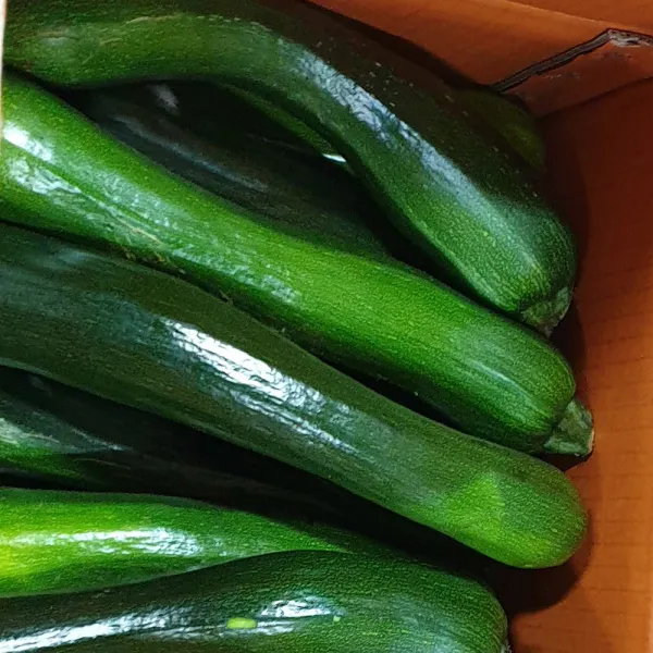 백산상회 쥬키니호박, 1박스, 10kg(못난이)
