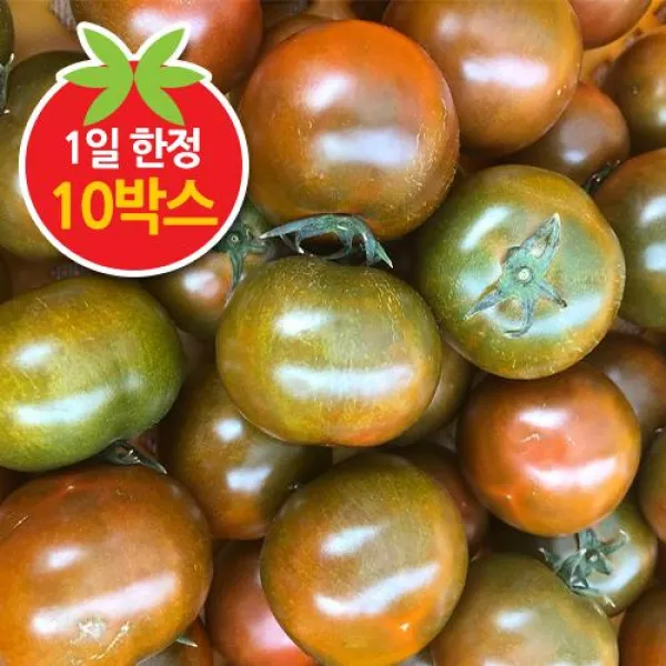 (인빌푸드)못난이 흑토마토 5kg, 단품