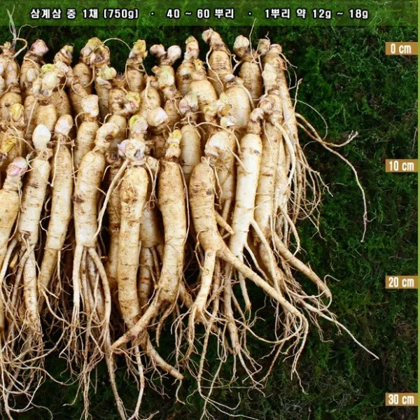 금산인삼도매센터 삼계삼 중 수삼 1팩 750g