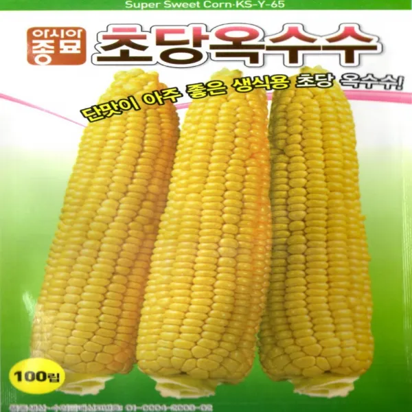 진양원예사 초당옥수수 - 설탕 옥수수 씨앗 100립