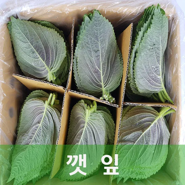 백양사 펴진 깻잎 2kg 발품장터, 단일상품
