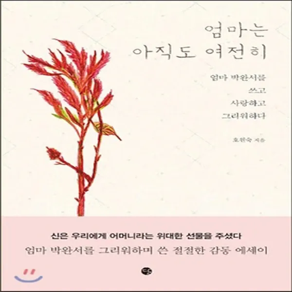 새책-스테이책터 [엄마는 아직도 여전히]엄마 박완서를 쓰고 사랑하고 그리워하다 -한국에세이 출간 20150122, 판형 1