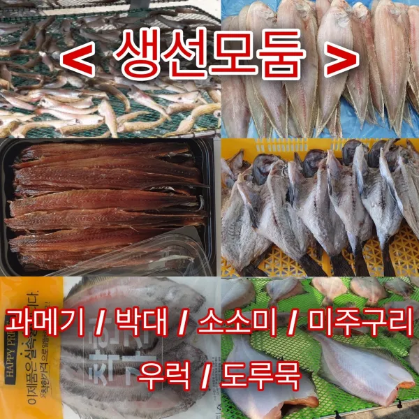 유성일등 반건조 생선 모둠, 1팩, 완전손질 과메기(진공) 20쪽