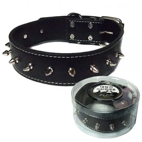 대형견 충견상징 가죽(징) 목줄 40mm 4개 개목줄 산책목줄