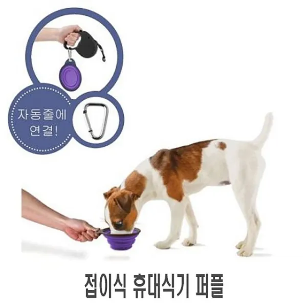 3 델타유통 / 접이식 휴대식기 퍼플 1p 식기 그릇 급식기 반려견식 애견식기 애견밥그릇 급식기 고무/실리콘 식기, 단일 수량