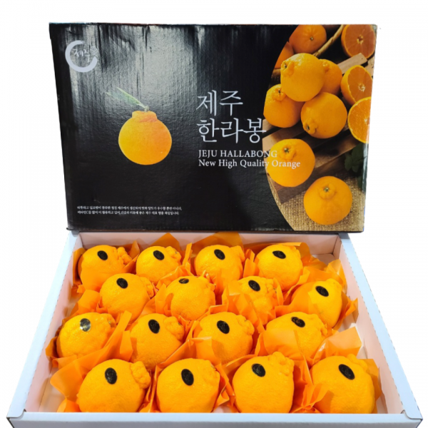 [황금원] 고당도 프리미엄한라봉 (7~10과) 특대과 3kg 선물세트/명절선물로 강력 추천, 1box, 3kg