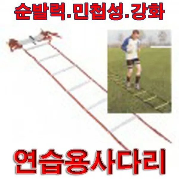 UZX714000(인기)금우 스텝레더/연습용 사다리 민첩성/순발력강화/축구.농구.기타 체력훈련용/8m/학교
