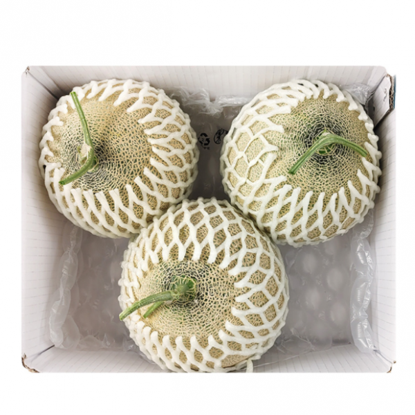 코스트코 세지멜론 5kg 3수 Seji area Melon 5kg, 1
