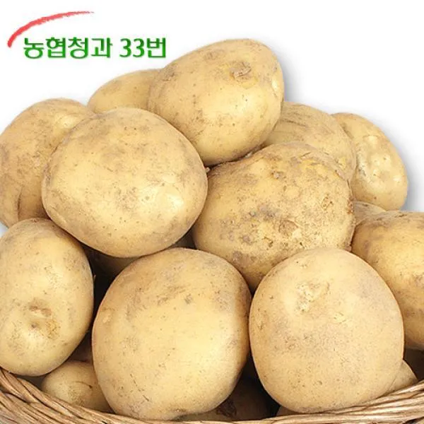 농협 [농협청과33번]감자 3kg (특), 1