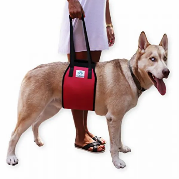 MTSolutions Lift Harness for Canine Dog Red 송곳니 리프트 하네스 레드, 1