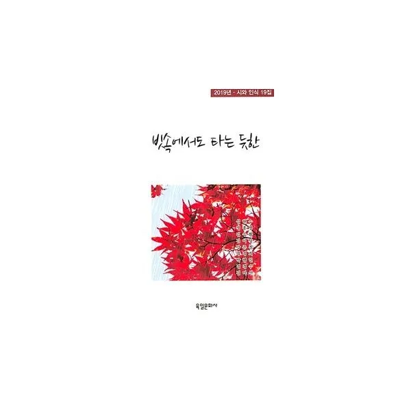 밀크북_2 빗속에서도 타는 듯한, One color | One Size@1