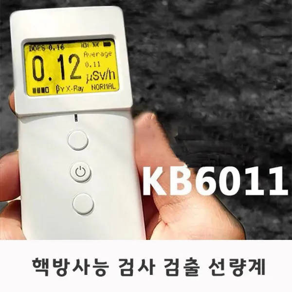방사능 검사기 핵방사능 검사 검출 선량계 E501