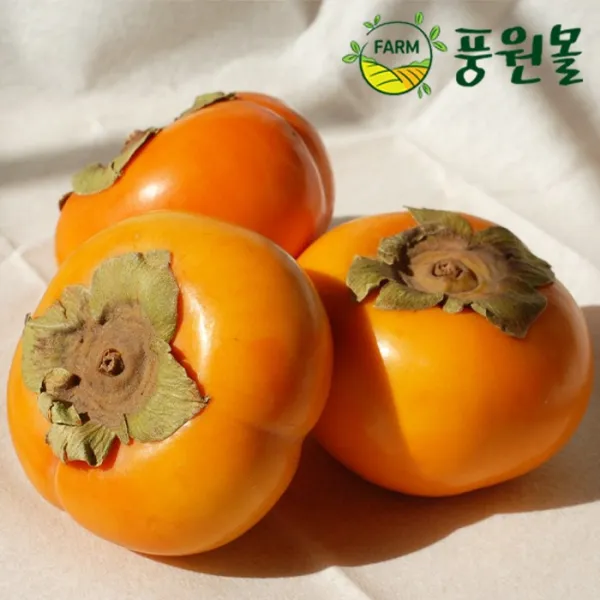 풍원영농조합법인 달콤한 경남 햇 단감 가정용흠과, (직원추천!!)경남단감 10kg (51~60), 1box