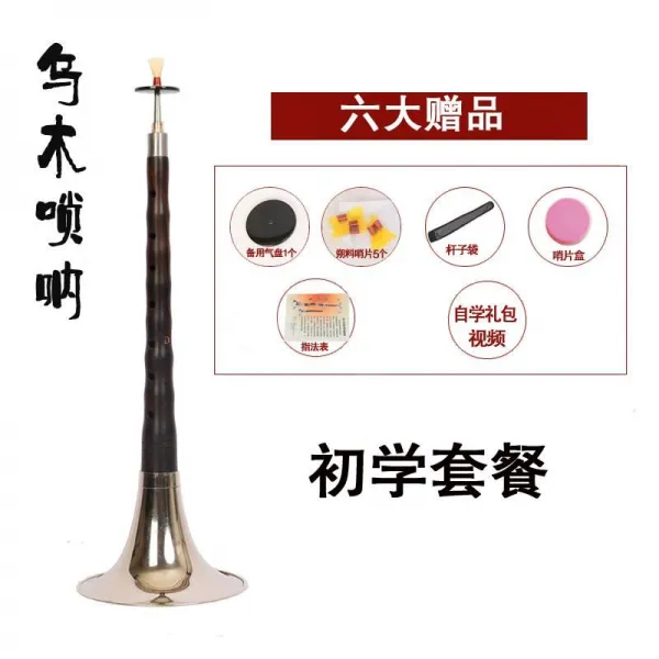 블랙 멜로디 악기로 박달 나무다 사소하다 떨기 흑단 초보자 날라리 눌 천진, 흑단 D조 화이트 그릇 _육종 기프트