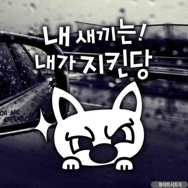 내가지킨당 화이트 내새끼는 뭉크 자동차스티커 국문, 기본 1682