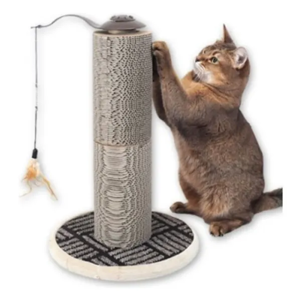 닥터페이퍼써클포스트 햄 Lmpx + 7236족먈 단일품